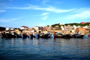 臺州大陳 “漁小二”便民服務(wù)不停步，助力海島生活更便捷